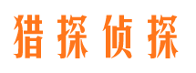 盐津市侦探公司